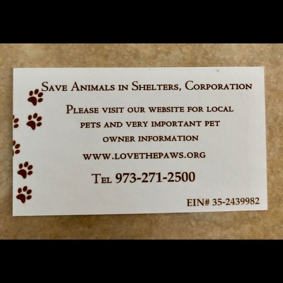 Sterling Silver 18” plated necklace with St Francis Medal FREE PRAYER CARD - Picture 6 of 7